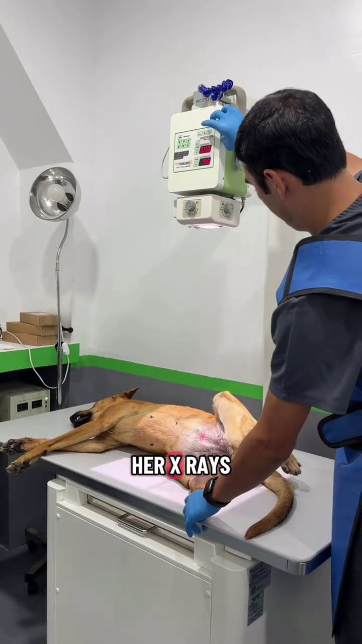 911 1 HER X RAYS ecol