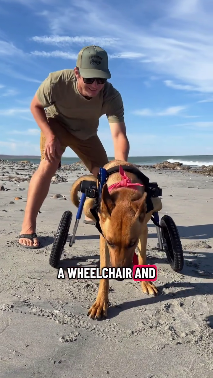 EXPEDITION Ol A WHEELCHAIR AND