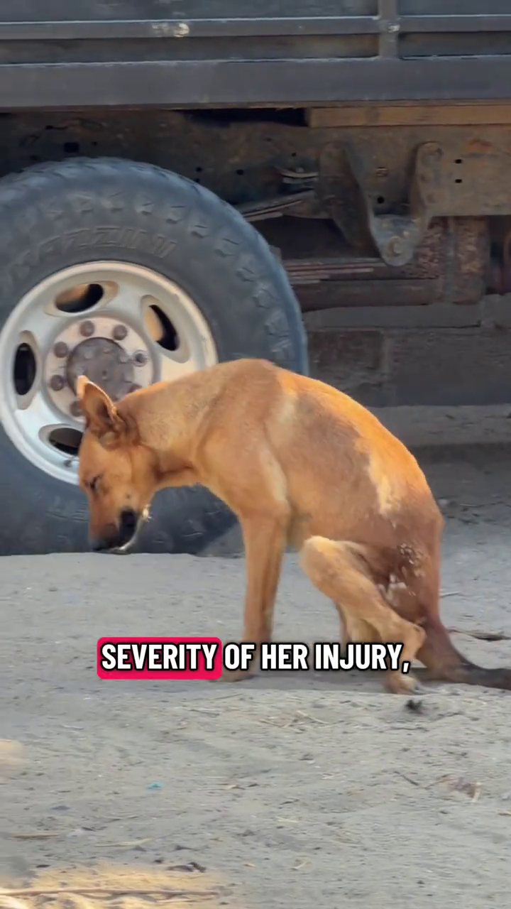 SEVERITY OF HER INJURY,