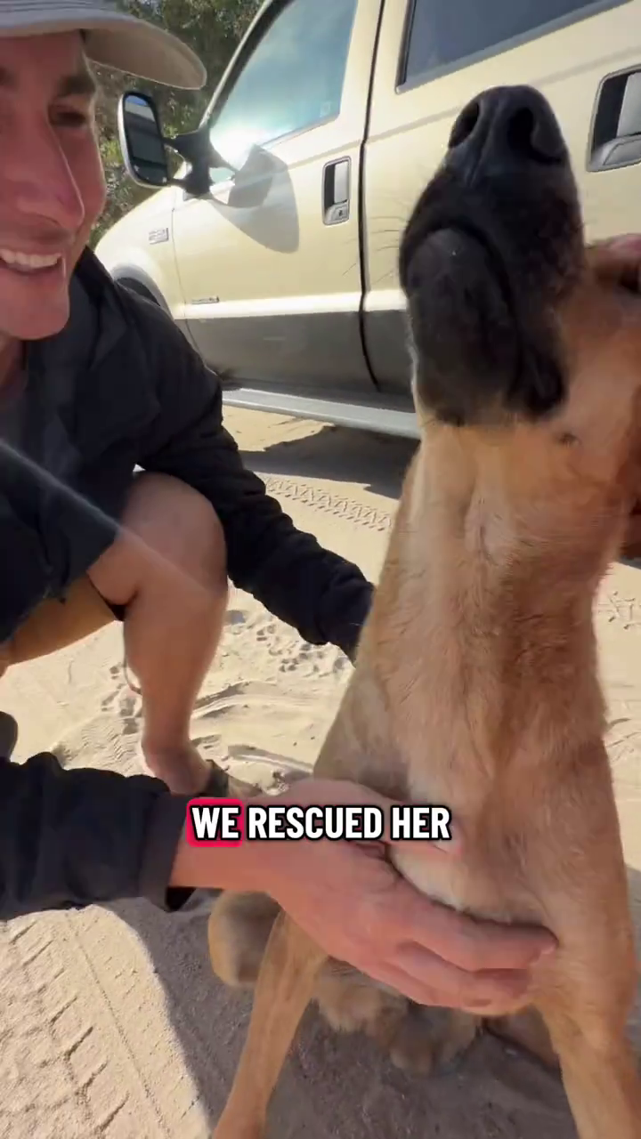 WE RESCUED HER