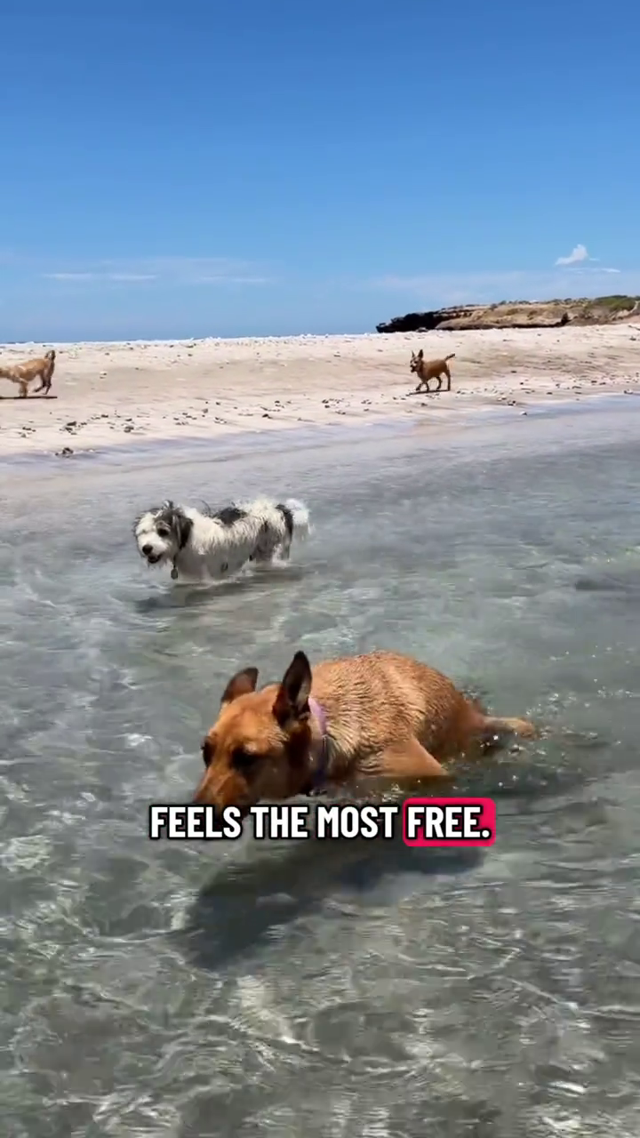 FEELS THE MOST FREE.