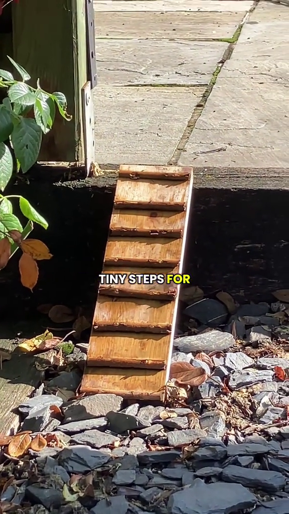 TINY STEPS FOR