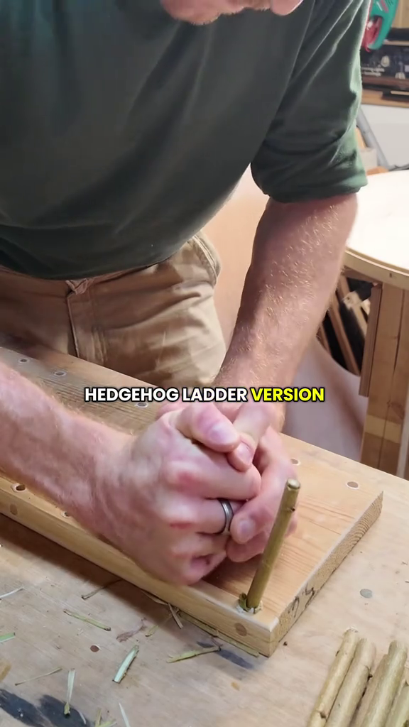 HEDGEHOG LADDER VERSION