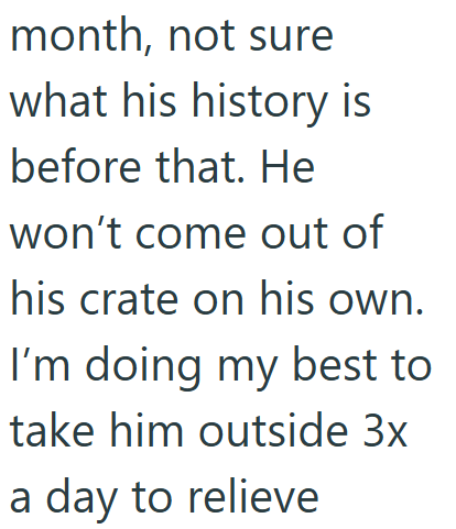 month, not sure what his history is before that. He won't come out of his crate on his own. I'm doing my best to take him outside 3x a day to relieve