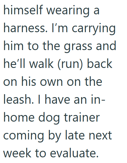 himself wearing a harness. I'm carrying him to the grass and he'll walk (run) back on his own on the leash. I have an in- home dog trainer coming by late next week to evaluate.