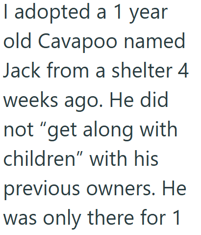 I adopted a 1 year old Cavapoo named Jack from a shelter 4 weeks ago. He did not "get along with children" with his previous owners. He was only there for 1