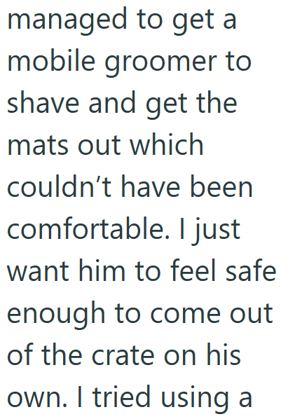 managed to get a mobile groomer to shave and get the mats out which couldn't have been comfortable. I just want him to feel safe enough to come out of the crate on his own. I tried using a
