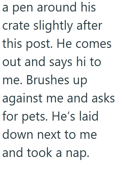 a pen around his crate slightly after this post. He comes out and says hi to me. Brushes up against me and asks for pets. He's laid down next to me and took a nap.