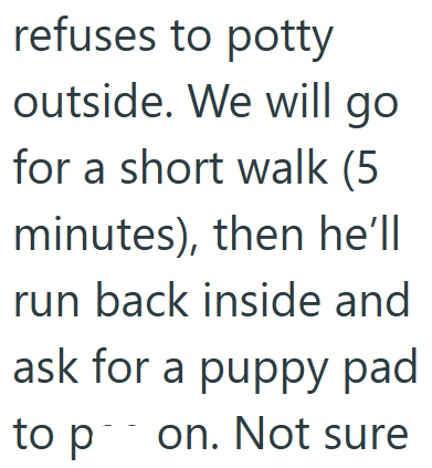 refuses to potty outside. We will go for a short walk (5 minutes), then he'll run back inside and ask for a puppy pad to pon. Not sure