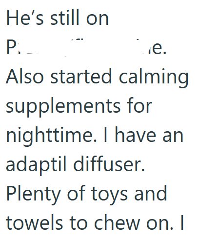 He's still on P. .. ☐e. Also started calming supplements for nighttime. I have an adaptil diffuser. Plenty of toys and towels to chew on. I