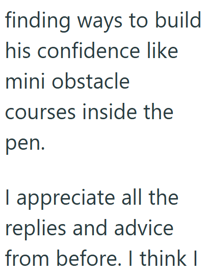 finding ways to build his confidence like mini obstacle courses inside the pen. I appreciate all the replies and advice from before. I think I