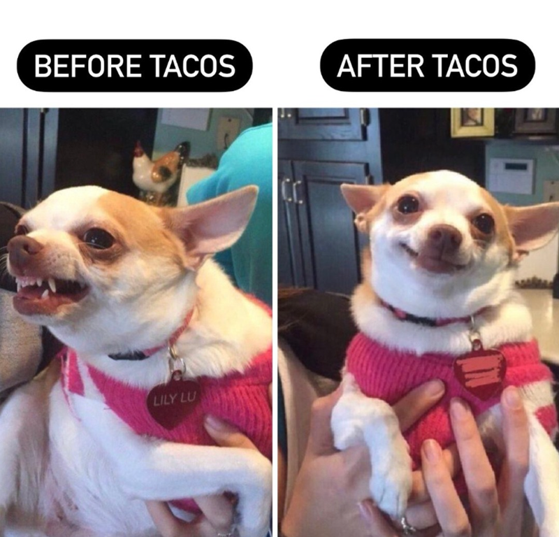 BEFORE TACOS AFTER TACOS LILY LU