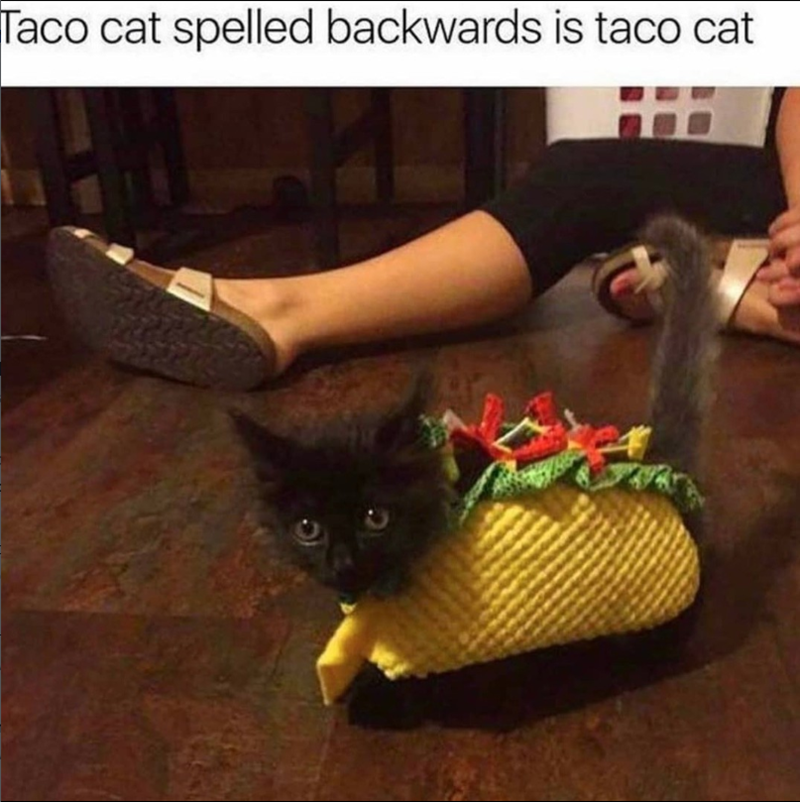 Taco cat spelled backwards is taco cat
