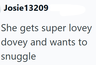 Josie 13209 She gets super lovey dovey and wants to snuggle