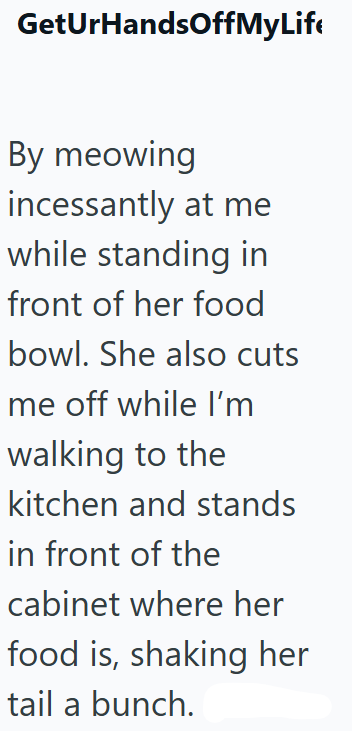 GetUrHandsOffMyLife By meowing incessantly at me while standing in front of her food bowl. She also cuts me off while I'm walking to the kitchen and stands in front of the cabinet where her food is, shaking her tail a bunch.