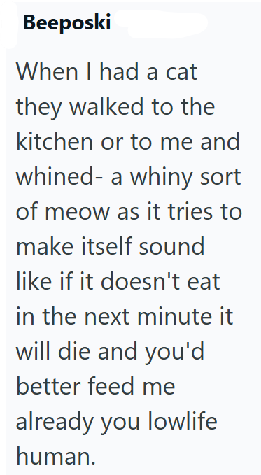 Beeposki When I had a cat they walked to the kitchen or to me and whined- a whiny sort of meow as it tries to make itself sound like if it doesn't eat in the next minute it will die and you'd better feed me already you lowlife human.