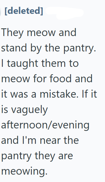 [deleted] They meow and stand by the pantry. I taught them to meow for food and it was a mistake. If it is vaguely afternoon/evening and I'm near the pantry they are meowing.