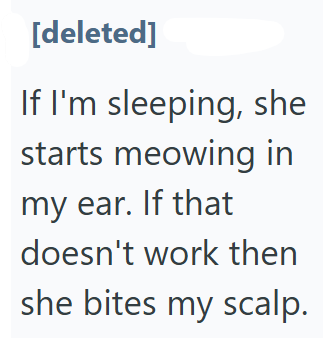 [deleted] If I'm sleeping, she starts meowing in my ear. If that doesn't work then she bites my scalp.