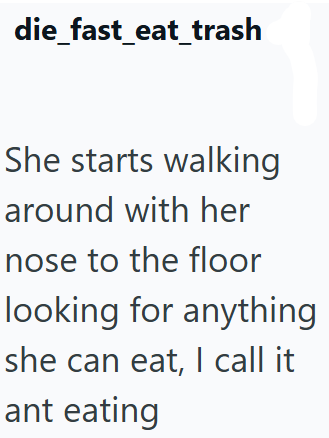 die_fast_eat_trash She starts walking around with her nose to the floor looking for anything she can eat, I call it ant eating