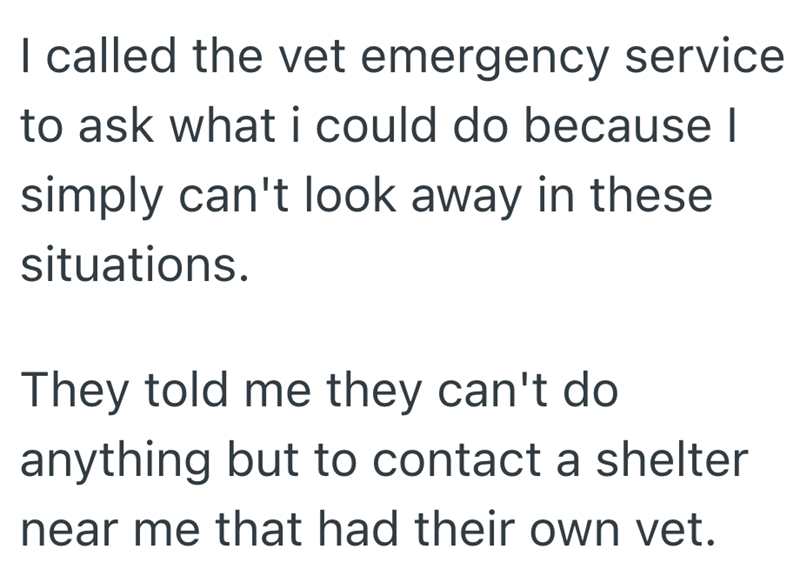I called the vet emergency service. to ask what i could do because I simply can't look away in these situations. They told me they can't do anything but to contact a shelter near me that had their own vet.