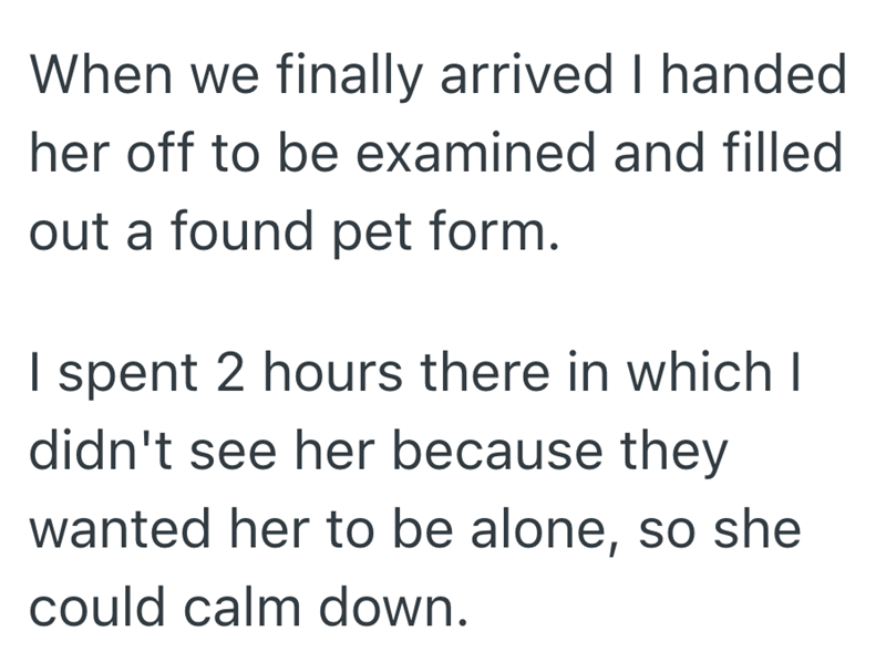 When we finally arrived I handed her off to be examined and filled out a found pet form. I spent 2 hours there in which I didn't see her because they wanted her to be alone, so she could calm down.