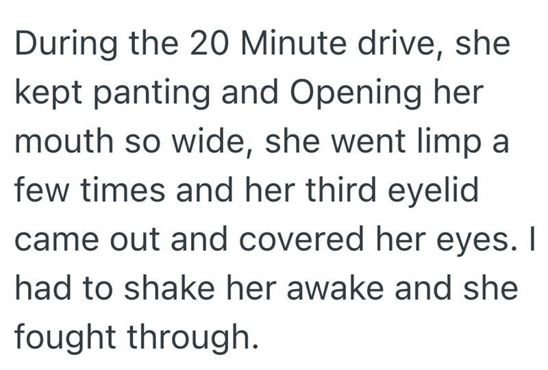 During the 20 Minute drive, she kept panting and Opening her mouth so wide, she went limp a few times and her third eyelid came out and covered her eyes. I had to shake her awake and she fought through.