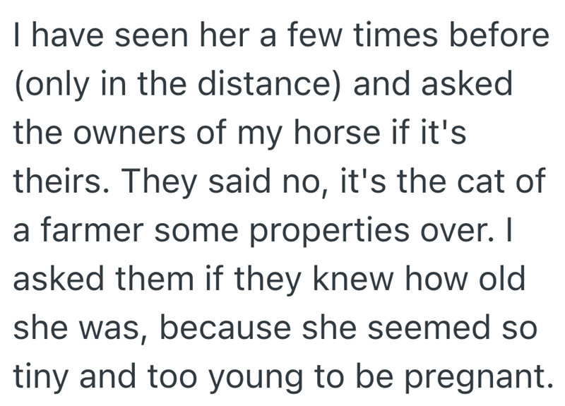 I have seen her a few times before (only in the distance) and asked the owners of my horse if it's theirs. They said no, it's the cat of a farmer some properties over. I asked them if they knew how old she was, because she seemed so tiny and too young to be pregnant.