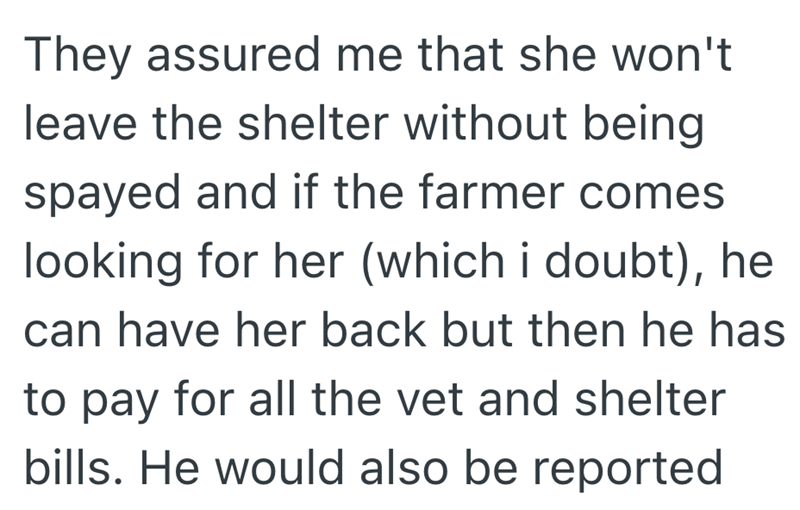 They assured me that she won't leave the shelter without being spayed and if the farmer comes looking for her (which i doubt), he can have her back but then he has to pay for all the vet and shelter bills. He would also be reported