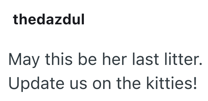 thedazdul May this be her last litter. Update us on the kitties!