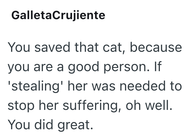 GalletaCrujiente You saved that cat, because you are a good person. If 'stealing' her was needed to stop her suffering, oh well. You did great.