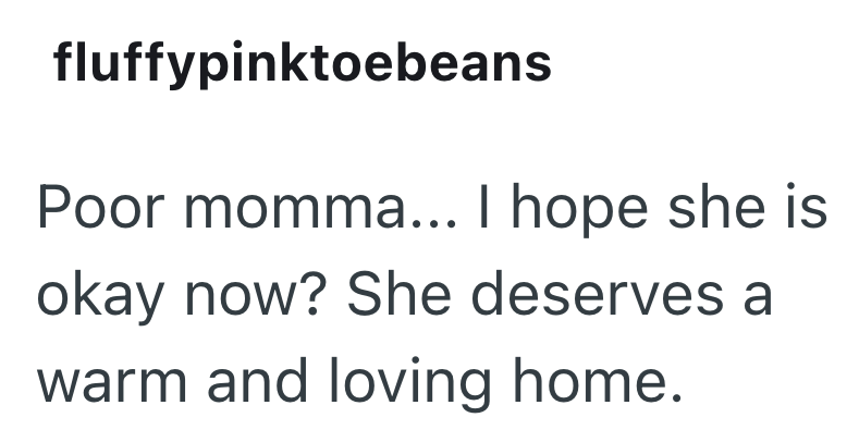 fluffypinktoebeans Poor momma... I hope she is okay now? She deserves a warm and loving home.
