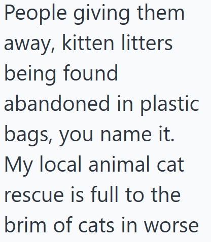 People giving them away, kitten litters being found abandoned in plastic bags, you name it. My local animal cat rescue is full to the brim of cats in worse