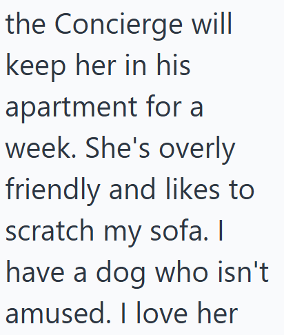 the Concierge will keep her in his apartment for a week. She's overly friendly and likes to scratch my sofa. I have a dog who isn't amused. I love her