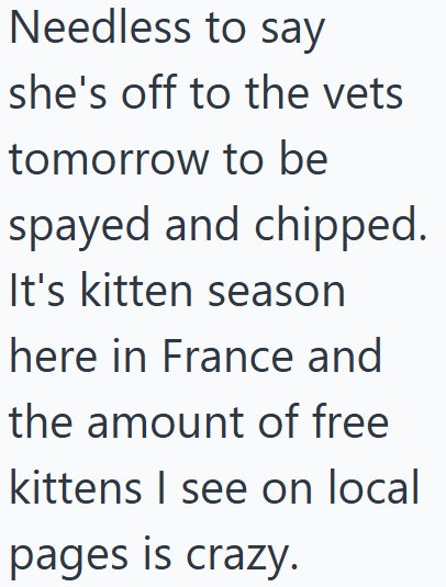 Needless to say she's off to the vets tomorrow to be spayed and chipped. It's kitten season here in France and the amount of free kittens I see on local pages is crazy.