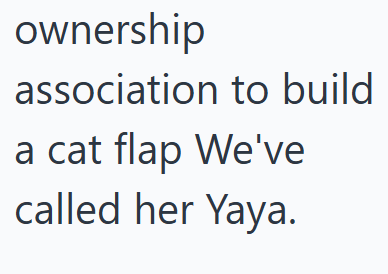 ownership association to build a cat flap We've called her Yaya.