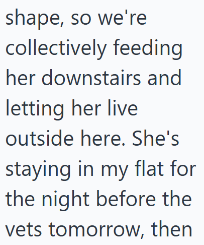 shape, so we're collectively feeding her downstairs and letting her live outside here. She's staying in my flat for the night before the vets tomorrow, then
