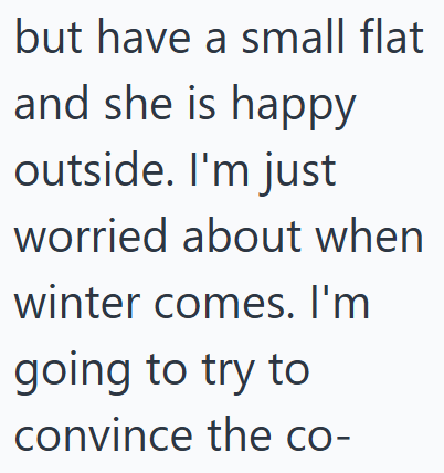 but have a small flat and she is happy outside. I'm just worried about when winter comes. I'm going to try to convince the co-