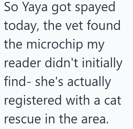 So Yaya got spayed today, the vet found the microchip my reader didn't initially find-she's actually registered with a cat rescue in the area.
