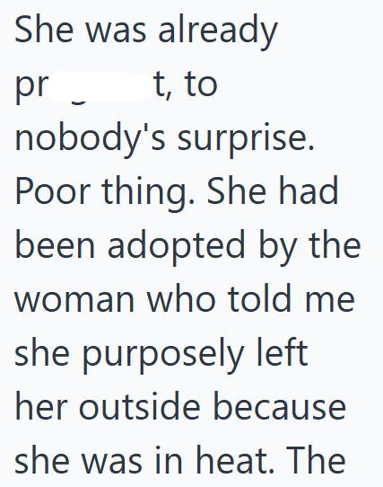 She was already pr t, to nobody's surprise. Poor thing. She had been adopted by the woman who told me she purposely left her outside because she was in heat. The