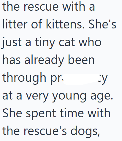 the rescue with a litter of kittens. She's just a tiny cat who has already been through pr. су at a very young age. She spent time with the rescue's dogs,