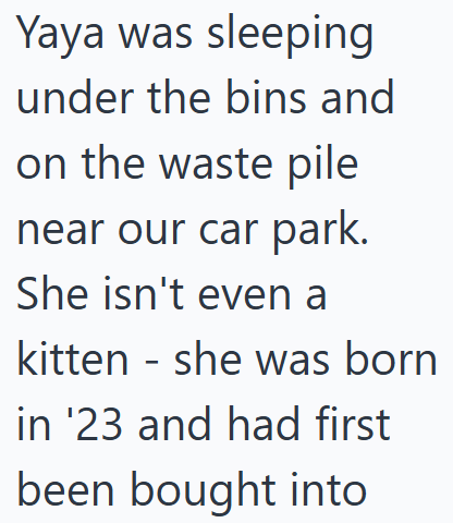 Yaya was sleeping under the bins and on the waste pile near our car park. She isn't even a kitten - she was born in '23 and had first been bought into