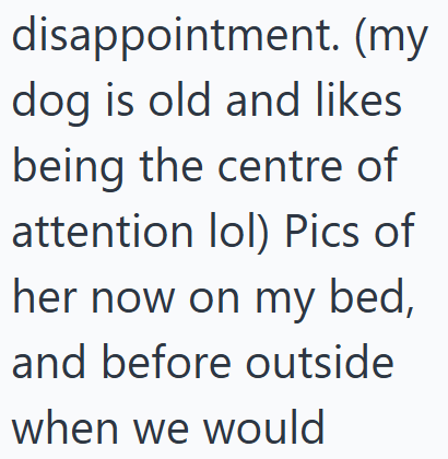 disappointment. (my dog is old and likes being the centre of attention lol) Pics of her now on my bed, and before outside when we would