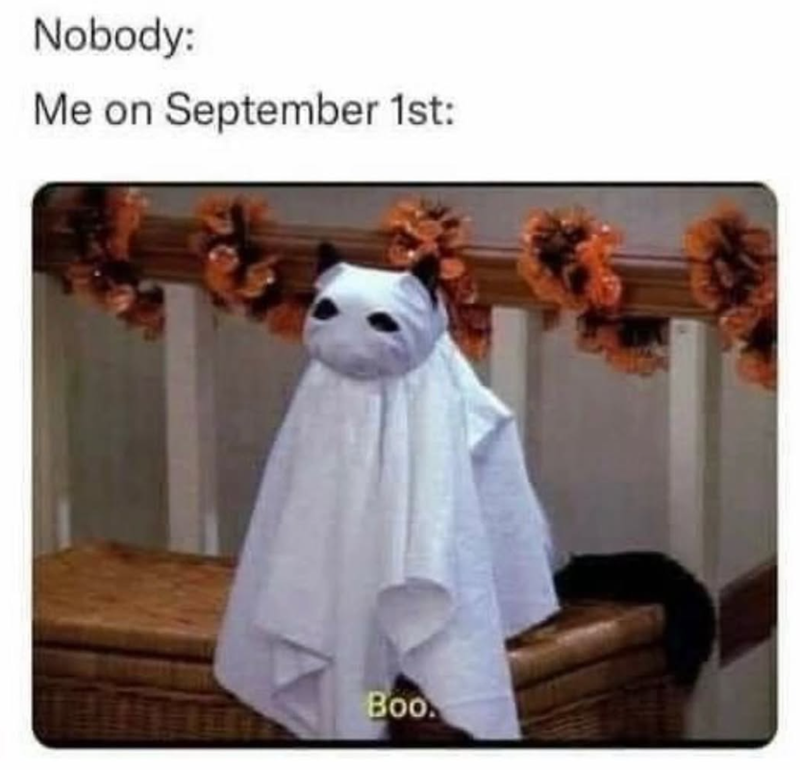 Nobody: Me on September 1st: Boo