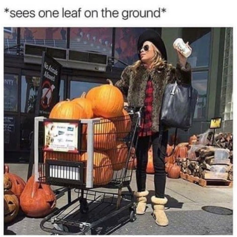 *sees one leaf on the ground* NITY No Ainals Aloved