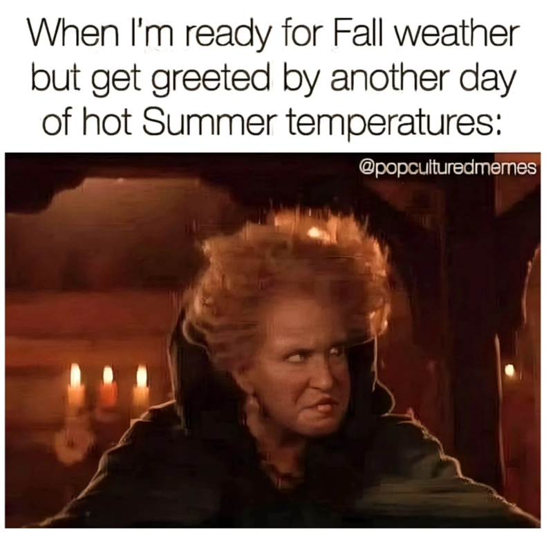 When I'm ready for Fall weather but get greeted by another day of hot Summer temperatures: @popculturedmemes