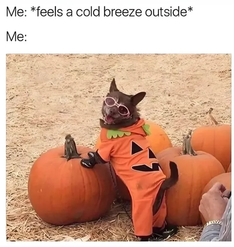Me: *feels a cold breeze outside* Me: