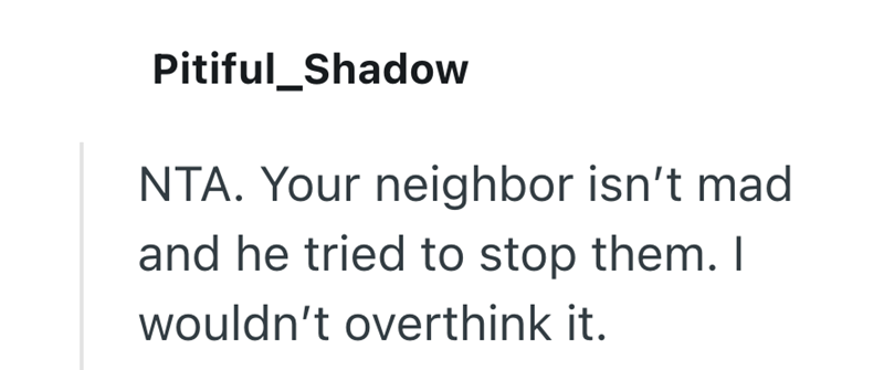 Pitiful_Shadow NTA. Your neighbor isn't mad and he tried to stop them. I wouldn't overthink it.
