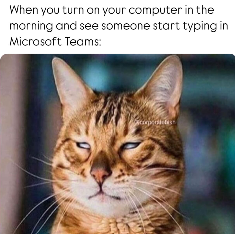 When you turn on your computer in the morning and see someone start typing in Microsoft Teams: corporatebish