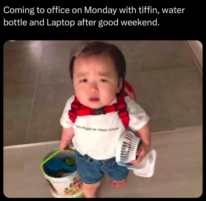Coming to office on Monday with tiffin, water bottle and Laptop after good weekend. You should t be happy
