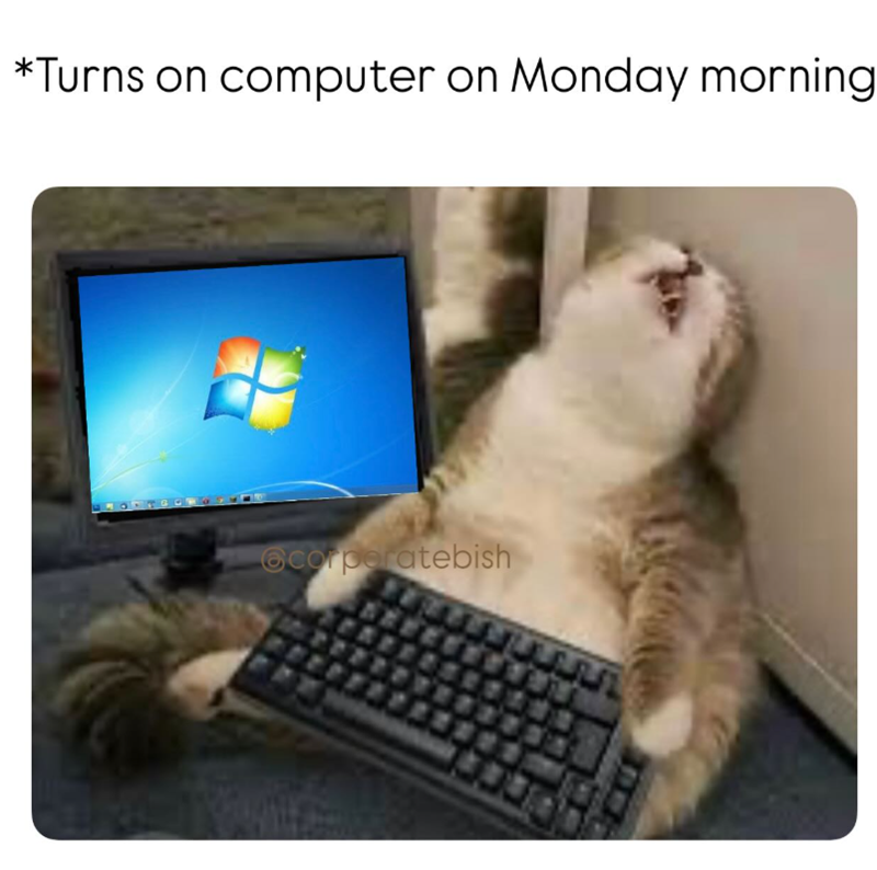 *Turns on computer on Monday morning @corporatebish